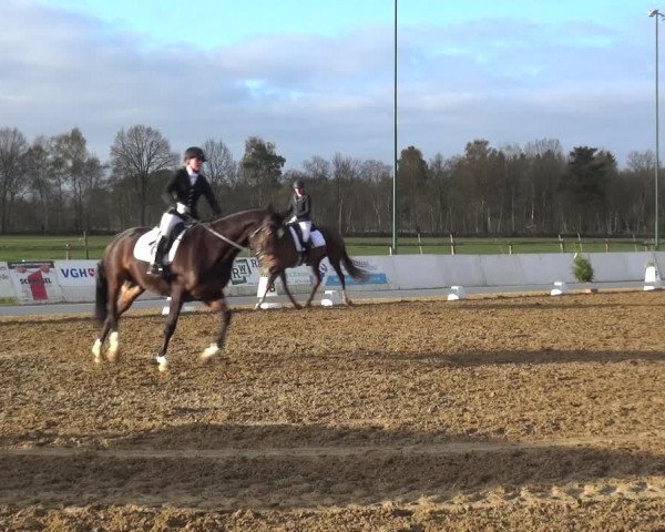 Reitturnier Bremervörde/Reitsportzentrum 2021