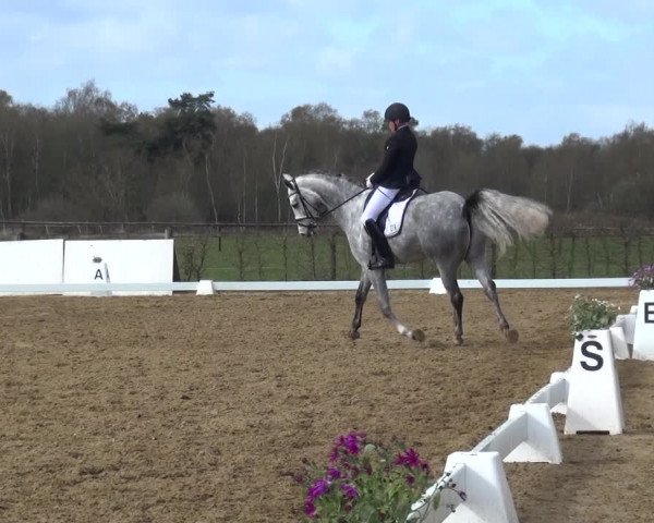 Reitturnier Bremervörde/Reitsportzentrum 2021