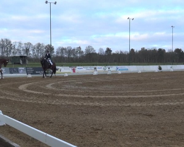 Reitturnier Bremervörde/Reitsportzentrum 2021