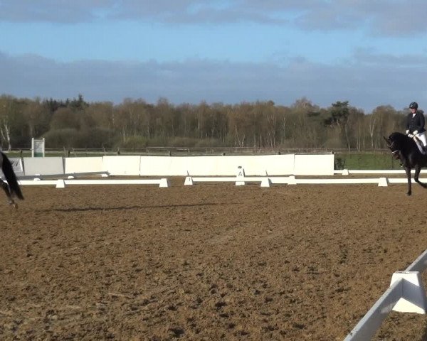 Reitturnier Bremervörde/Reitsportzentrum 2021