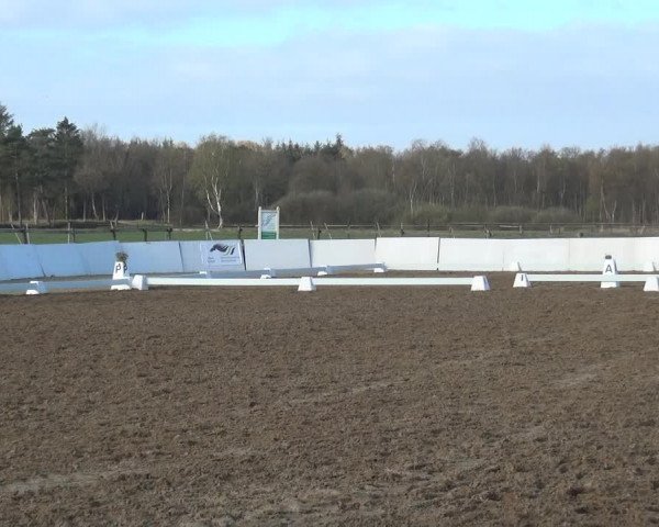 Reitturnier Bremervörde/Reitsportzentrum 2021