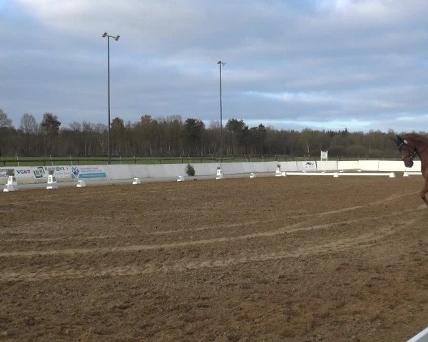Reitturnier Bremervörde/Reitsportzentrum 2021