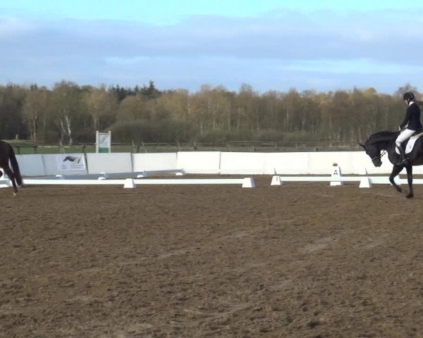 Reitturnier Bremervörde/Reitsportzentrum 2021