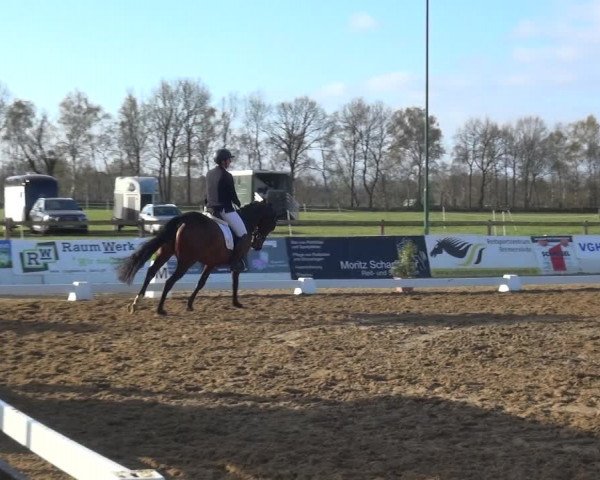 Reitturnier Bremervörde/Reitsportzentrum 2021