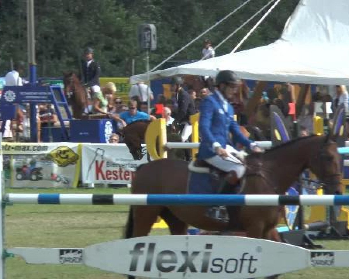 jumper Tibro (KWPN (Royal Dutch Sporthorse), 2000, from Lux Z)