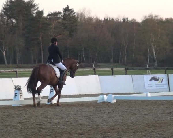 Reitturnier Bremervörde/Reitsportzentrum 2021