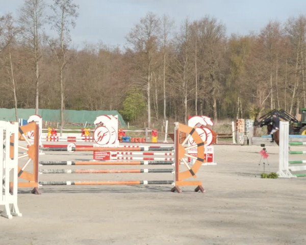 Reitturnier Handorf 2021