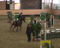 jumper Endira 2 (Westphalian, 2000, from Ehrenwort)