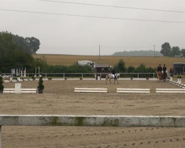 broodmare Diana (Westphalian, 1972, from Dilettant)
