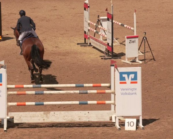 Reitturnier Böblingen 2021