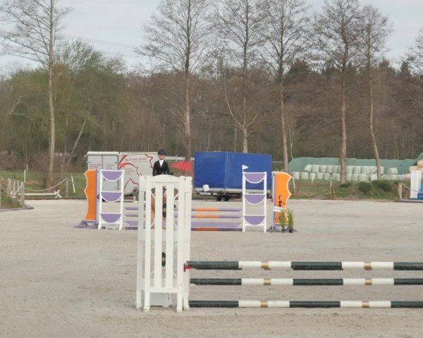 Reitturnier Handorf 2021