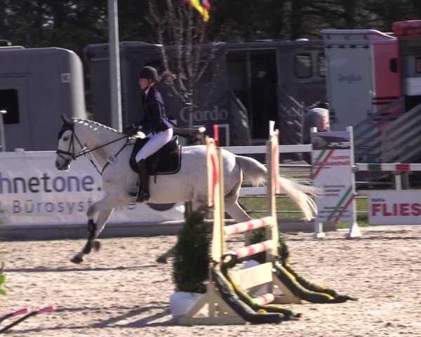 Reitturnier Ladelund 2021