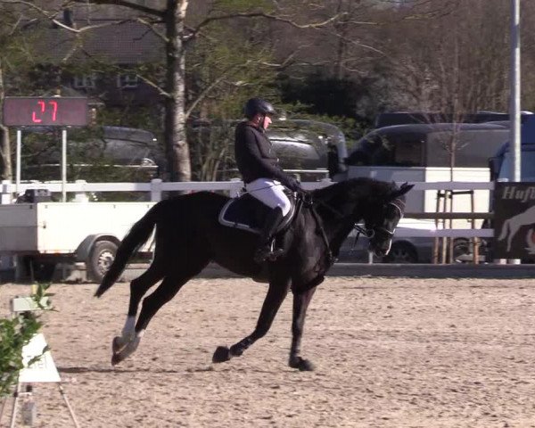 Reitturnier Ladelund 2021