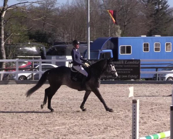 Reitturnier Ladelund 2021