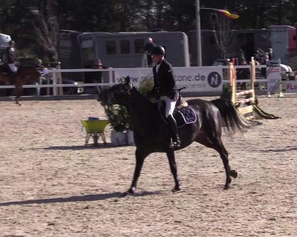 Reitturnier Ladelund 2021