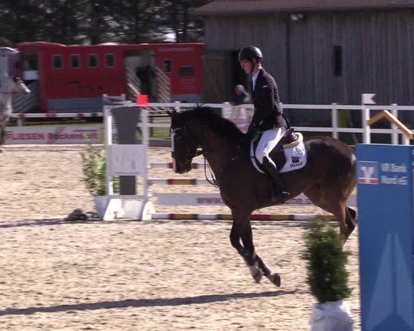 Reitturnier Ladelund 2021