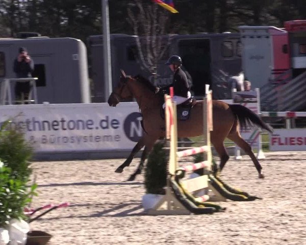 Reitturnier Ladelund 2021