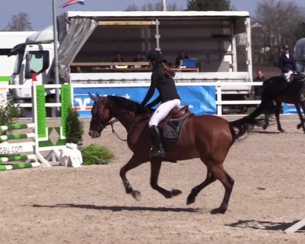 Reitturnier Ladelund 2021