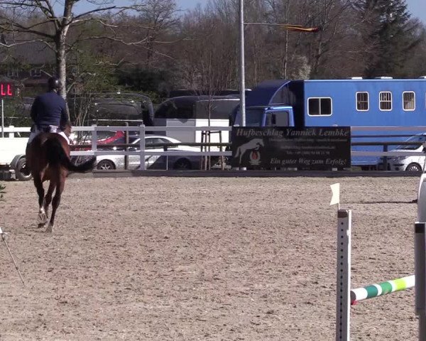 Reitturnier Ladelund 2021