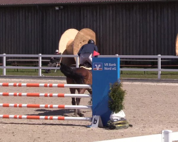 Reitturnier Ladelund 2021