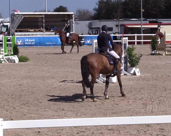 Reitturnier Ladelund 2021
