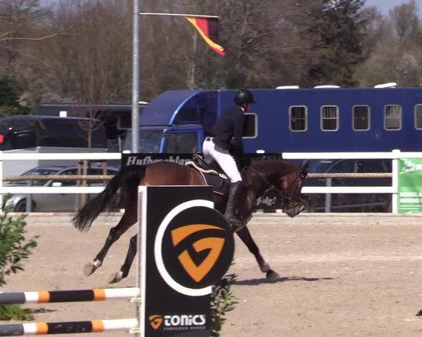 Reitturnier Ladelund 2021