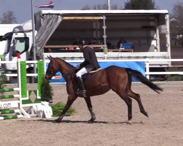 Reitturnier Ladelund 2021