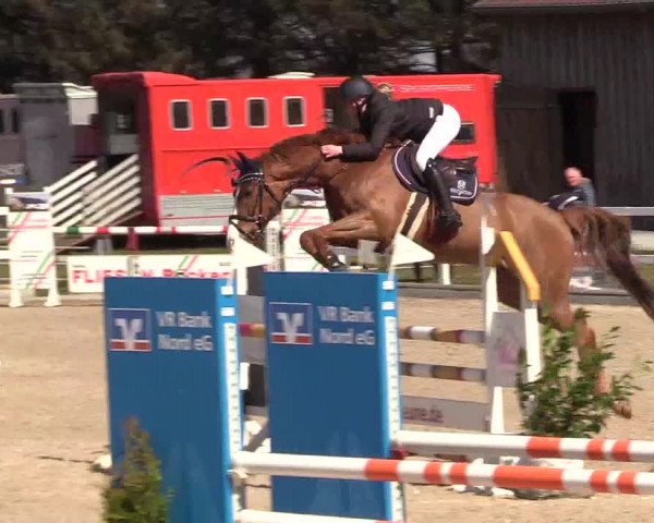 Reitturnier Ladelund 2021