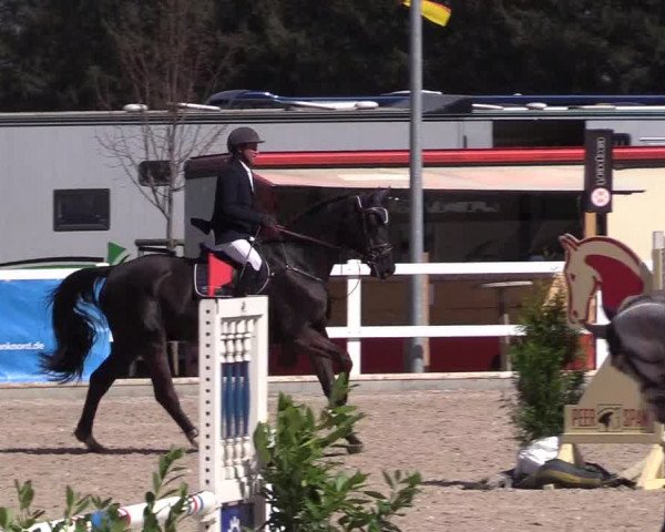 Reitturnier Ladelund 2021