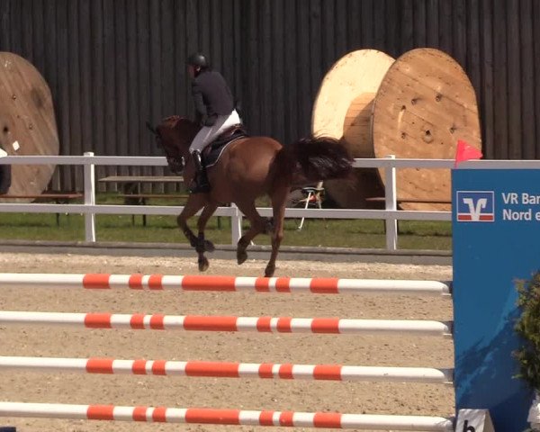 Reitturnier Ladelund 2021