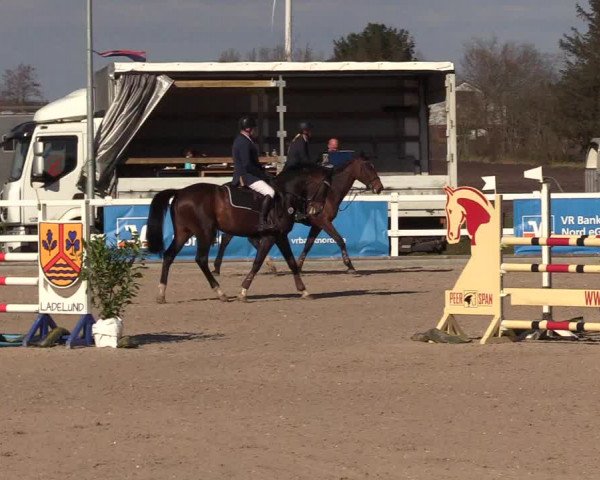 Reitturnier Ladelund 2021