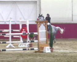 jumper Crack-er-Jack (Holsteiner, 2004, from Cash and Carry)