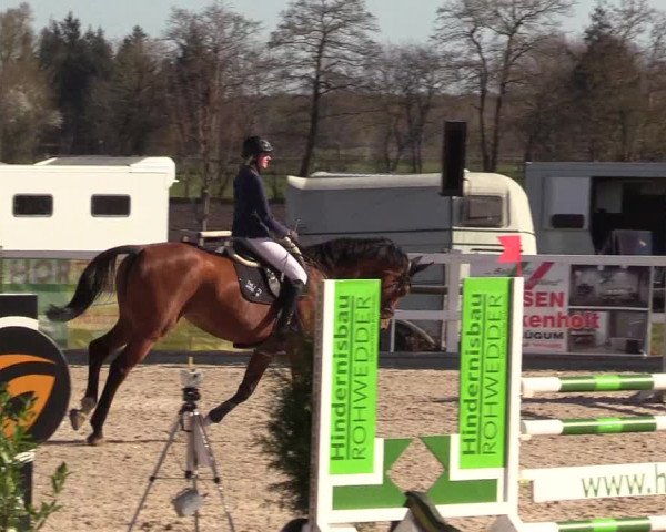 Reitturnier Ladelund 2021