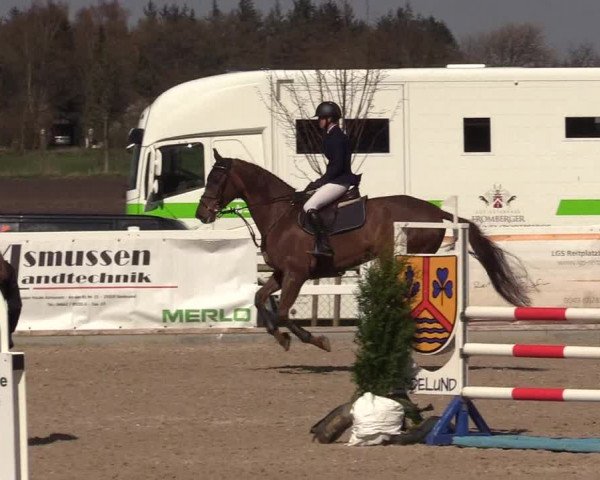 Reitturnier Ladelund 2021