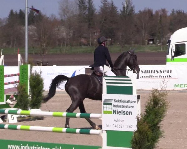 Reitturnier Ladelund 2021