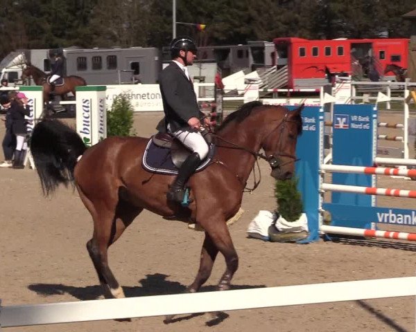 Reitturnier Ladelund 2021