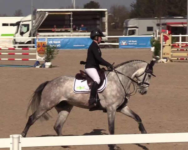 Reitturnier Ladelund 2021