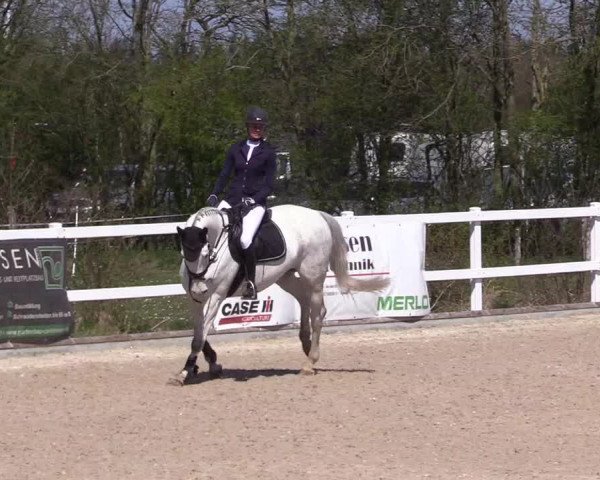 Reitturnier Ladelund 2021