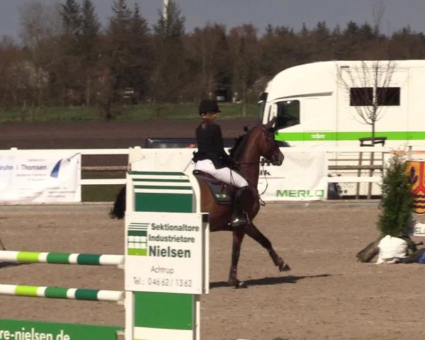 Reitturnier Ladelund 2021