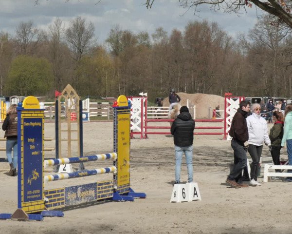 Reitturnier Handorf 2021