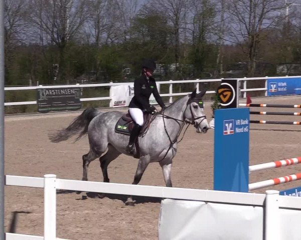 Reitturnier Ladelund 2021