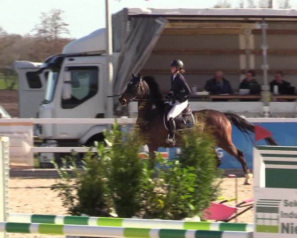 Reitturnier Ladelund 2021