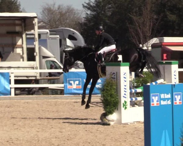 Reitturnier Ladelund 2021