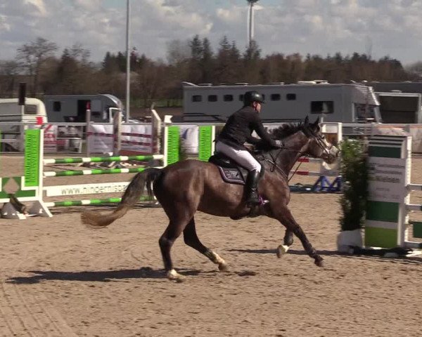 Reitturnier Ladelund 2021