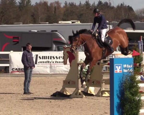Reitturnier Ladelund 2021