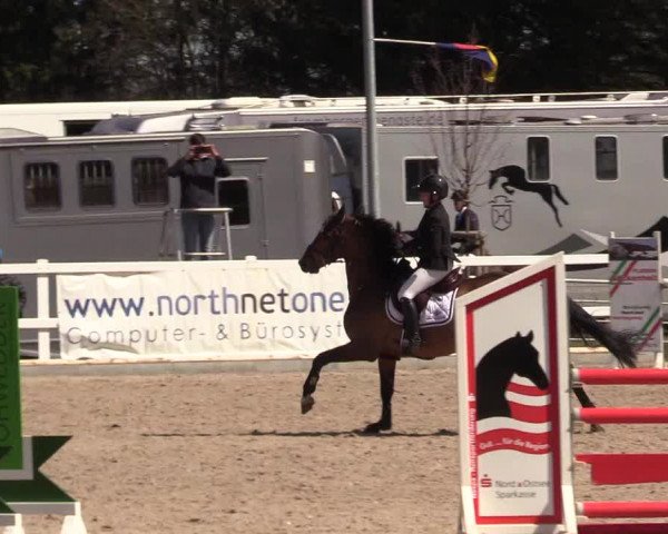 Reitturnier Ladelund 2021