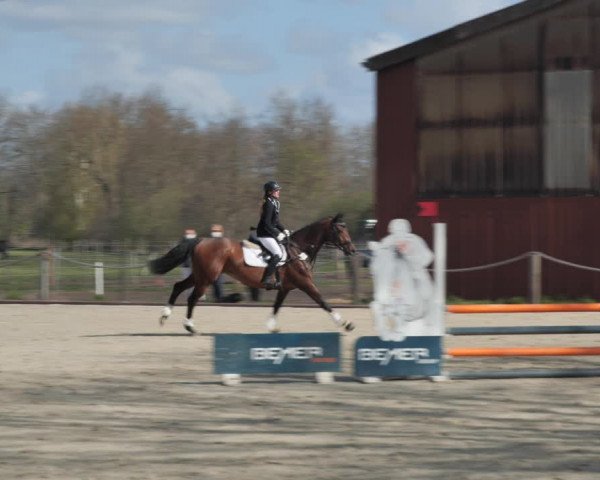 Reitturnier Handorf 2021
