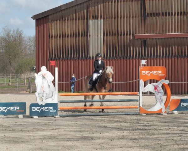Reitturnier Handorf 2021