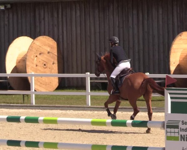 Reitturnier Ladelund 2021