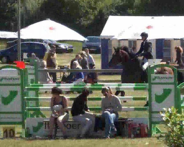 stallion Lopez JF (Holsteiner, 1989, from Lord)